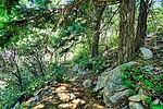 photo thumbnail #3