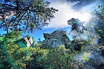 photo thumbnail #4