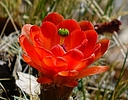 photo thumbnail #7