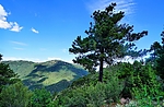 photo thumbnail #14