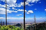 photo thumbnail #15