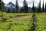 photo thumbnail #15