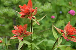 photo thumbnail #12
