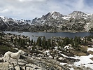 photo thumbnail #7