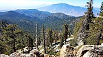 photo thumbnail #5