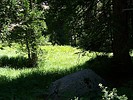 photo thumbnail #15