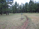 photo thumbnail #11