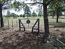 photo thumbnail #12