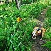 photo thumbnail #1