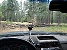 photo thumbnail #6