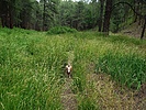 photo thumbnail #7