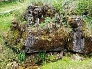 photo thumbnail #13