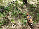 photo thumbnail #15