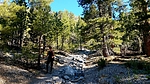 photo thumbnail #2