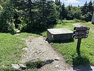photo thumbnail #7