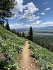 photo thumbnail #4