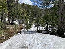 photo thumbnail #9