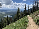 photo thumbnail #11