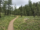 photo thumbnail #3