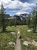 photo thumbnail #9