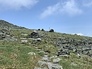 photo thumbnail #12