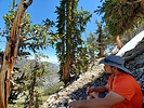 photo thumbnail #11
