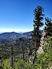 photo thumbnail #15