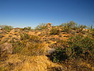 photo thumbnail #3