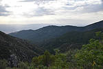 photo thumbnail #4