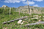photo thumbnail #9