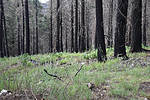 photo thumbnail #2