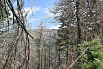 photo thumbnail #10