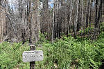 photo thumbnail #13