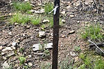 photo thumbnail #14