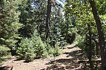 photo thumbnail #10