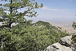 photo thumbnail #12