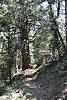 photo thumbnail #13
