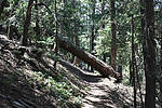 photo thumbnail #14