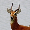 photo thumbnail #4