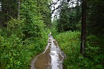 photo thumbnail #1