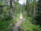 photo thumbnail #9