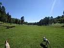 photo thumbnail #1