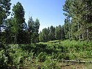 photo thumbnail #5