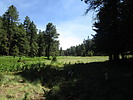 photo thumbnail #10