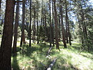 photo thumbnail #11