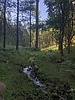 photo thumbnail #5