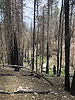 photo thumbnail #7