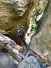 photo thumbnail #7