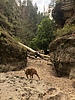 photo thumbnail #5