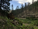 photo thumbnail #8
